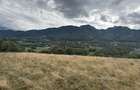 Teren de vanzare 2100 m2 zona Tohanita Zarne?ti - 5