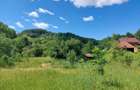 Casa Naturala in Transilvania