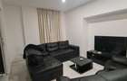 Ap. 2 camere central, zona Teatru, renovat - 14