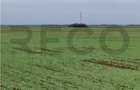 RECO Teren extravilan, zona Industriala in Livada de Bihor