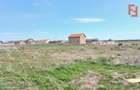 Teren intravilan de 400 mp in Peciu Nou - 2