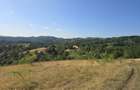 15 Hectare teren la munte ?inutul Padurenilor - 5