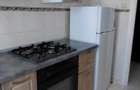 Apartament cu 2 camere de vanzare Brazda lui Novac - 2