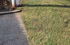 Casa Oncea P+M, 2 dormitoare, bucatarie, living, 2 bai, teren 1.306mp - 11