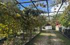 Proprietate cu Doua Case - 4