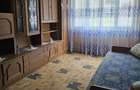Apartament 2 camere sat Arsura - 7
