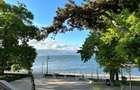Apartament vis-a-vis de Cazinoul din Constanta