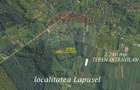 1.500 eur/ar - TEREN INTRAVILAN in Lapusel - 1