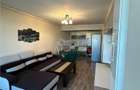 Apartament 3 camere 2 bai pet friendly Doamna Stanca - 3