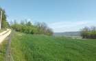 Vand pamant intravilan - 10
