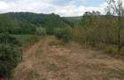 Teren agricol Ezeri?, 3000 mp, la ?osea, cu pomi - 6