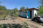 Casa cu curte si gradina - zona linistita si frumoasa