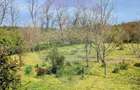 Teren 1,500mp Milesti / Aleea Aleea Preot Ion Vitan - 2