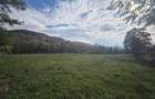 Teren intravilan loc. Stulpicani - 5