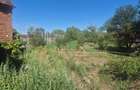 Vand casa in localitatea Belotint, judetul Arad - 5