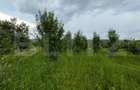 Teren intravilan, 4500 mp, zona Voinesti - 1