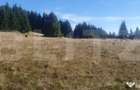 Teren extravilan, 50.000 mp, zona Vatra Dornei - Vatra Dornei (Suceava) - 3