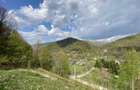Teren vedere panoramică lac Paltinu si dealuri împădurite in Valea Doftanei - 9