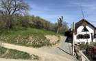 Teren de vanzare Sibiel,intravilan,langa satul Vale - 10
