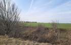 Corbeanca- Ostratu- langa padure - zona cu aer curat si liniste ideal complex