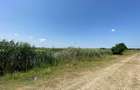 Teren intravilan 17 m deschidere Lac Silistea Snagovului 5000mp - 8