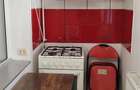 Lipovei - APARTAMENT 1 CAMERA - mobilat, utilat, RENOVAT - 4