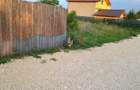 Teren de vanzare stupini - 3