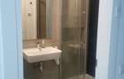 Apartament 1 camera open space si dependinte, 47mp, loc de parcare - 9