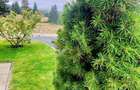 APARTAMENT DE VACANTA - POIANA BRASOV - 5