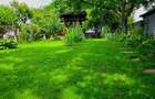 Teren 900 mp, central, str. Obedeanu- spatele Gradinii Botanice - 2