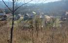 Casa + 20 arii teren, distanta 30 km de Bistrita - 12
