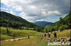 Vand teren intravilan Siriu la 150m de lac si cu deschidere directa la DN10