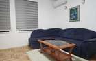 Apartament 2 camere Iancului - 2