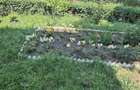Garsoniera Manastur - 39.500 euro negociabil - 1