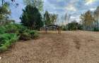Vila pe malul lacului, 6 camere, Snagov - 8