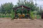 Vand casa 294 mp, cu posibilitatea achitari si in doua transe - 16
