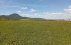 Teren extravilan 1.000 mp. Vulcan, Brasov - Ideal pentru gradina sau relaxare - 2