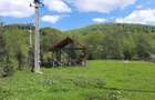 Vand teren intravilan Comuna Avram Iancu, Judetul Alba - 3