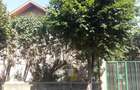 De vinzare casa in zona veche a cartierului Grigorescu - 8