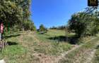 Teren 6200 mp + casa de vanzare Ocnele Mari | 4 min Strandul Fara Fund - 6