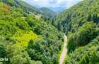 Investitie Smart in Moieciu, 3.1 ha, Panorama 360 Bucegi - Piatra Crai - 8