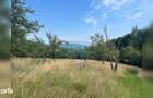 Teren cu poten?ial turistic, cadru natural rar, 20.000 mp Sacuieu - 3