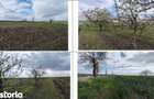 Teren cota parte 1/4 Sipote, ID: R3070064 - 13