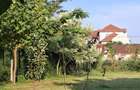 Urziceni, teren casa, zona PREMIUM, 500mp. - 5