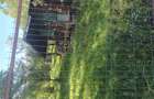 Vand teren intravilan Oradea - 1