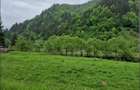 TEREN DE VANZARE LA IE?IRE DIN POPLACA PANORAMA SPRE PADURE ?