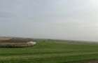 Teren de vanzare, zona Drotleff, 689 mp - 2