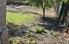 Casă cu Teren 2193 Mp în Măgurele