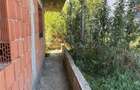 Teren + Casa la Rosu - Visan - 5