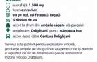 Vie Feteasca Regala 1.500 mp intre 2 drumuri Centura Dragasani - 2